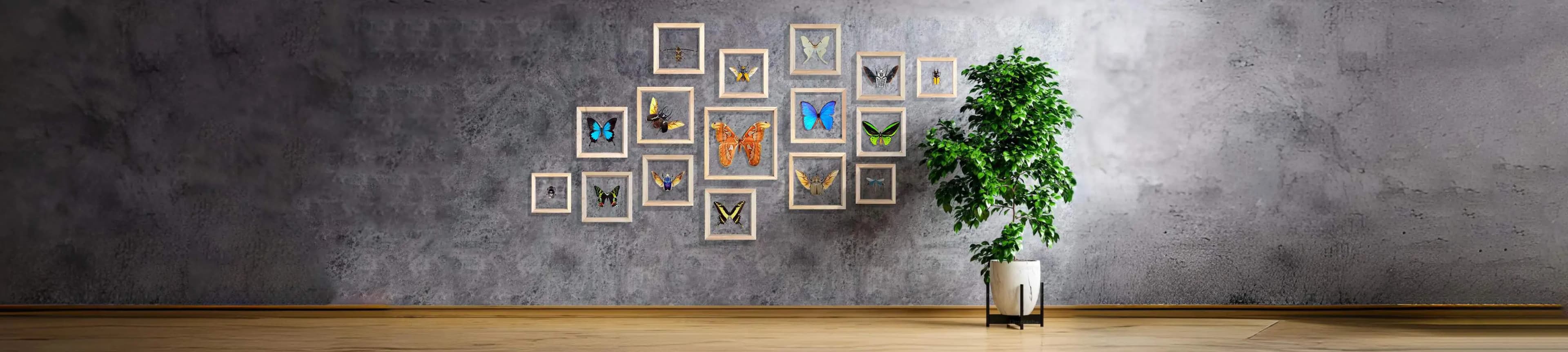 wall with frames